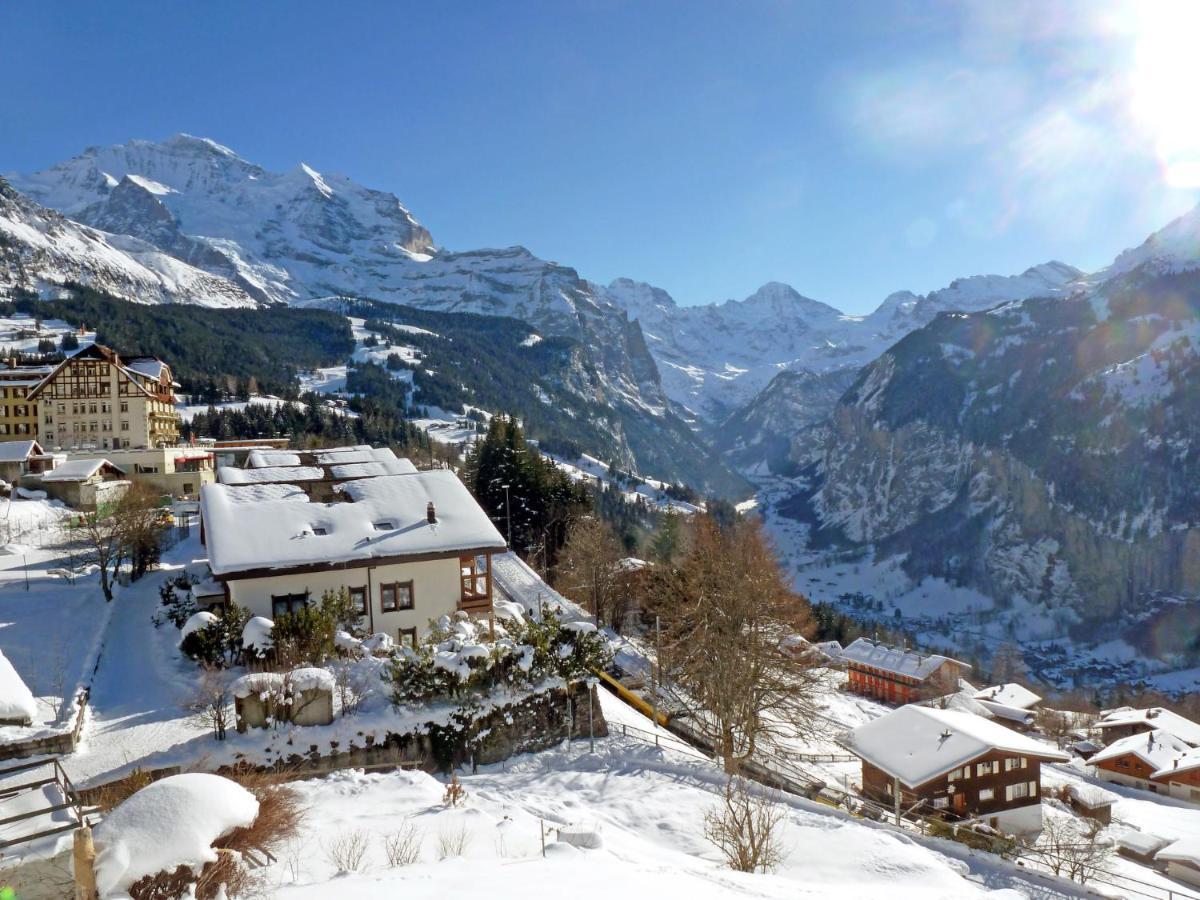 Apartment Panoramapark Soleil Haus D Apt 3 By Interhome Wengen Zewnętrze zdjęcie