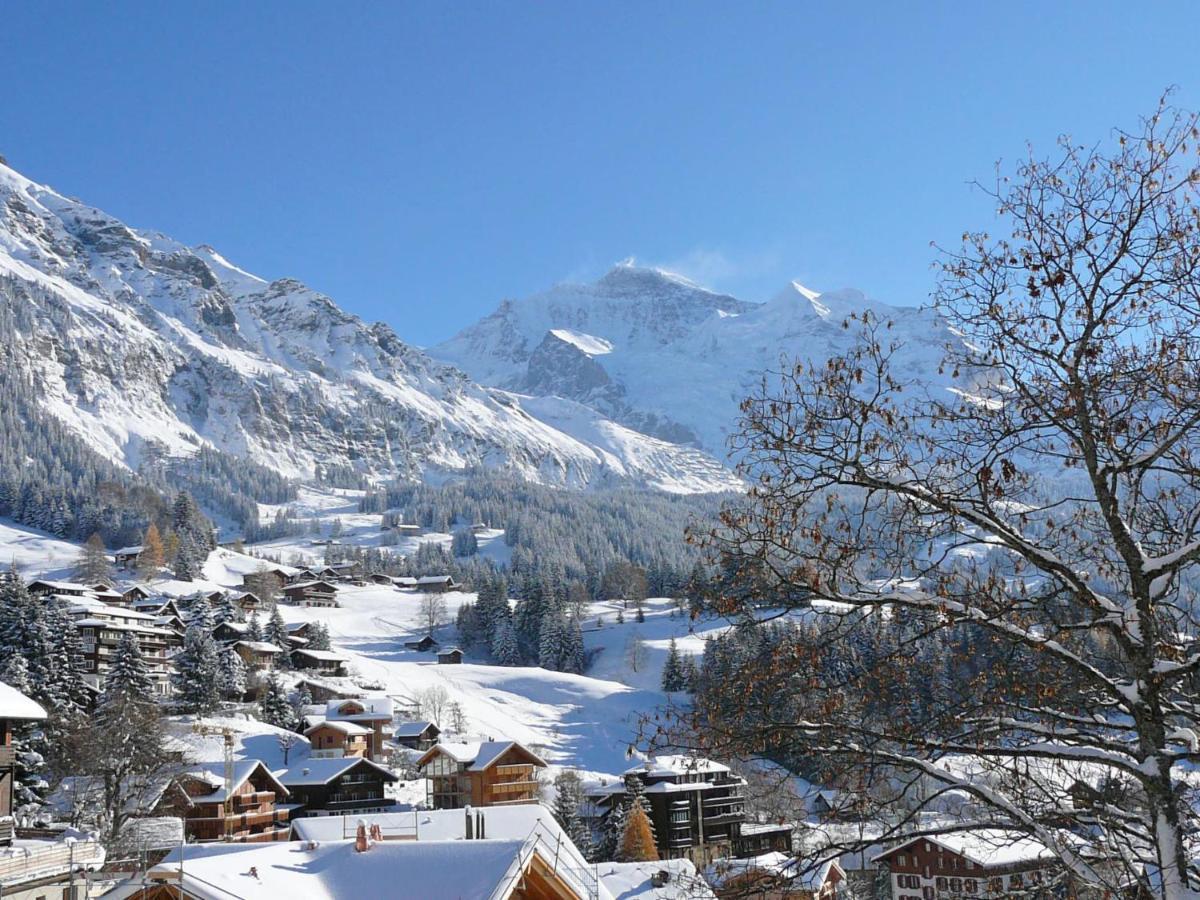 Apartment Panoramapark Soleil Haus D Apt 3 By Interhome Wengen Zewnętrze zdjęcie