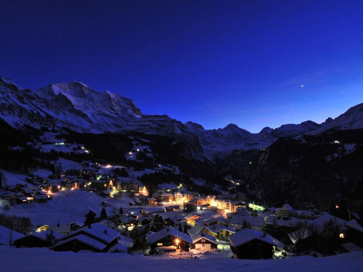 Apartment Panoramapark Soleil Haus D Apt 3 By Interhome Wengen Zewnętrze zdjęcie