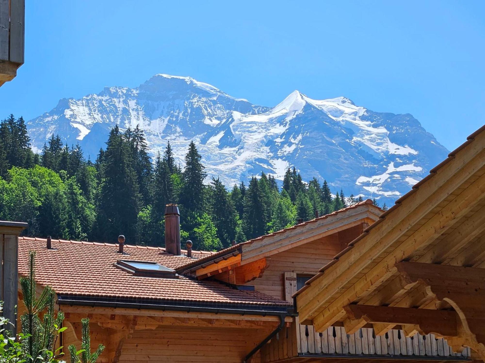 Apartment Panoramapark Soleil Haus D Apt 3 By Interhome Wengen Zewnętrze zdjęcie