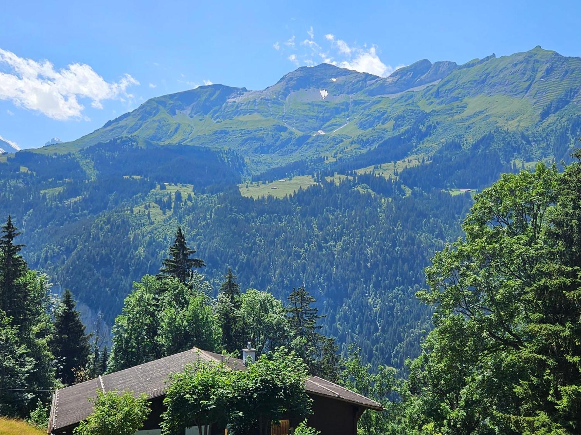 Apartment Panoramapark Soleil Haus D Apt 3 By Interhome Wengen Zewnętrze zdjęcie