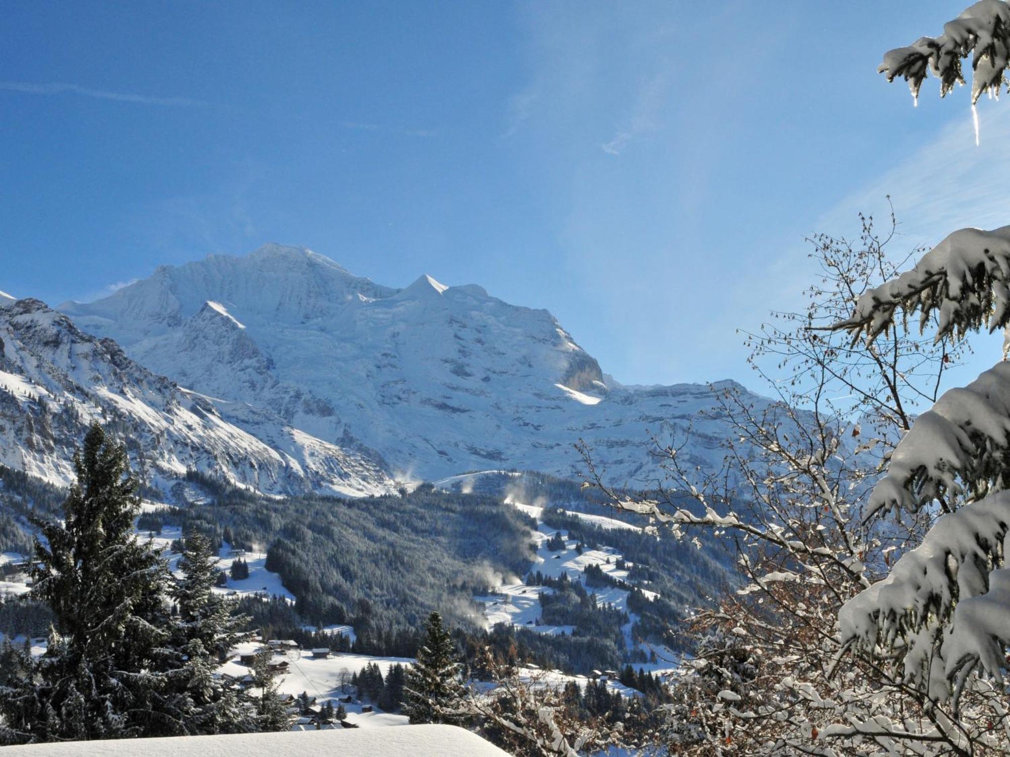 Apartment Panoramapark Soleil Haus D Apt 3 By Interhome Wengen Zewnętrze zdjęcie